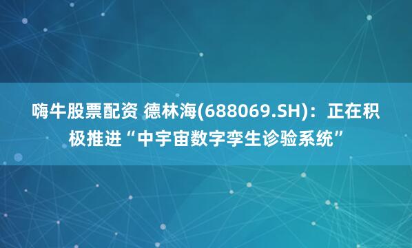 嗨牛股票配资 德林海(688069.SH)：正在积极推进“中宇宙数字孪生诊验系统”