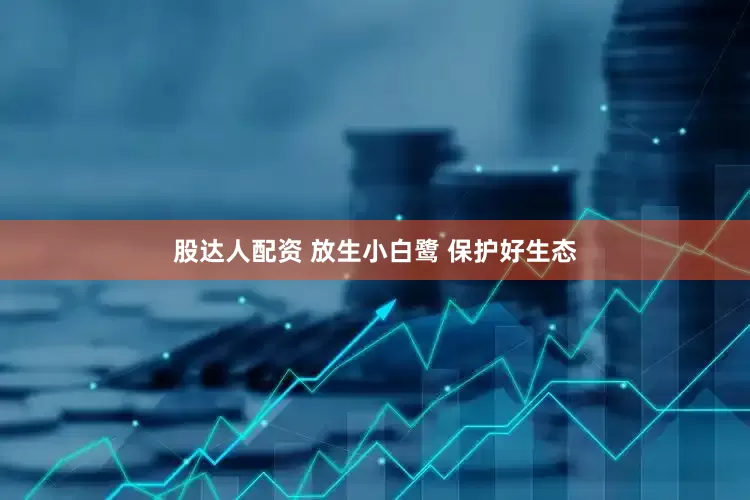 股达人配资 放生小白鹭 保护好生态