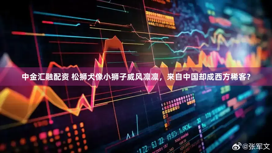 中金汇融配资 松狮犬像小狮子威风凛凛，来自中国却成西方稀客？