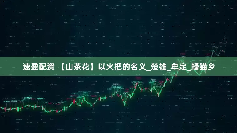 速盈配资 【山茶花】以火把的名义_楚雄_牟定_蟠猫乡