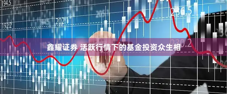 鑫耀证券 活跃行情下的基金投资众生相