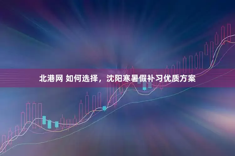 北港网 如何选择，沈阳寒暑假补习优质方案